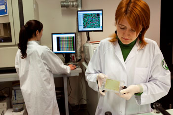 chercheurses séquenceur adn