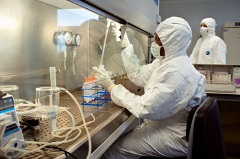 plateforme biothérapie