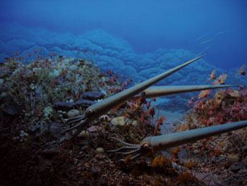 biodiv