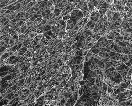 nanotubes en carbone