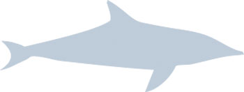 requin