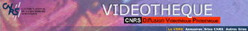 bandeau videotheque
